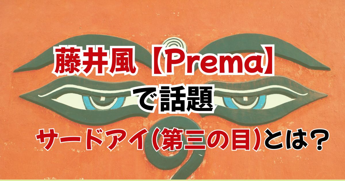 藤井風【Prema】で話題！サードアイ（第三の眼）とは？松果体との関係も解説