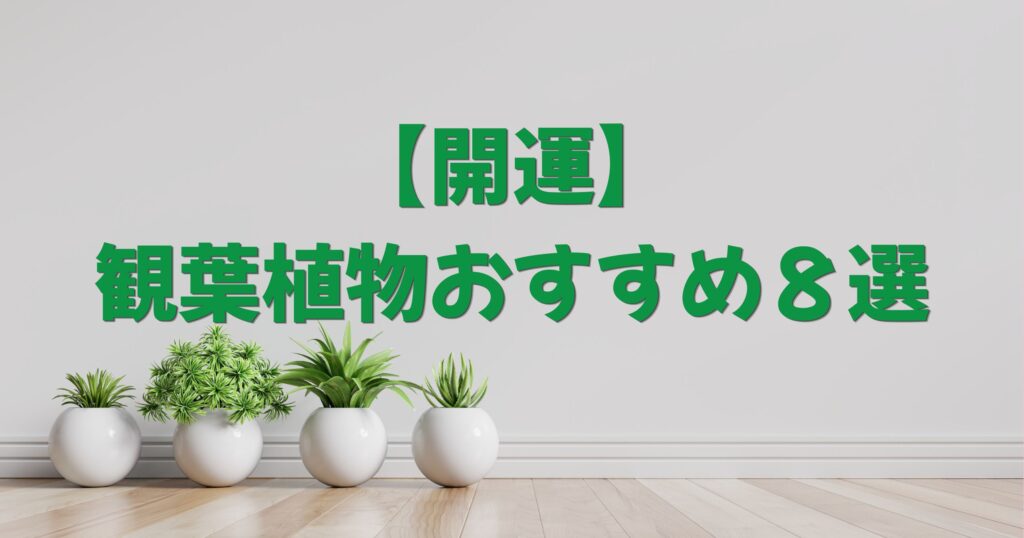 【開運】観葉植物おすすめ７選！玄関・トイレ・リビングの魔除けと運気アップに最強の植物はこれだ