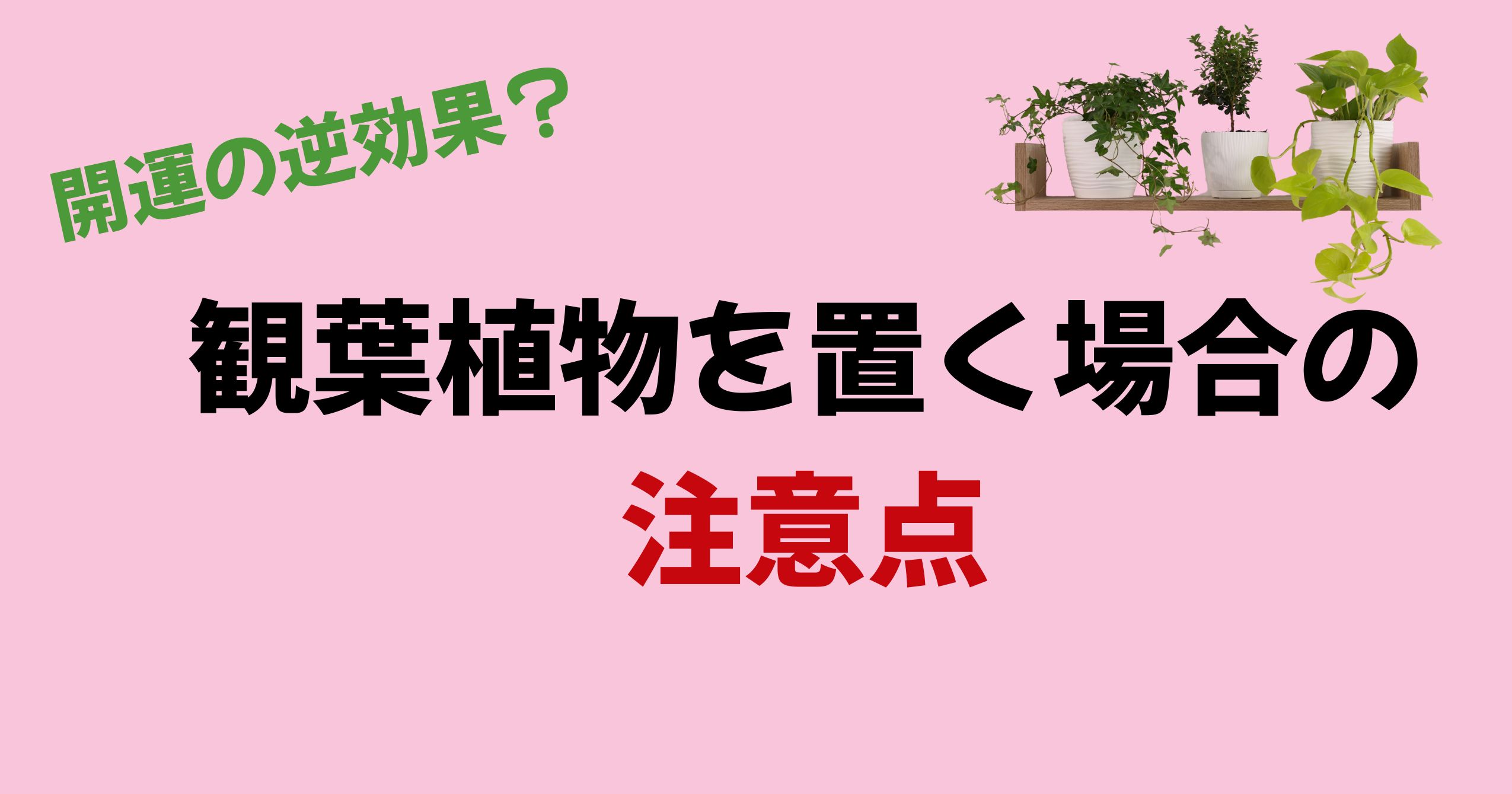 【開運】観葉植物おすすめ７選！玄関・トイレ・リビングの魔除けと運気アップに最強の植物はこれだ